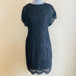 NWT All Lace Little Black Dress